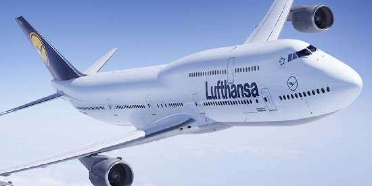 Unlocking the Mystery of Lufthansa Airlines Lost and Found