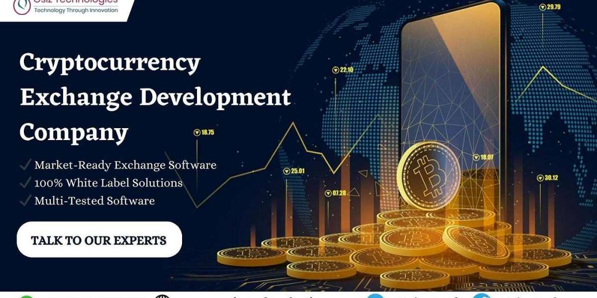 From Idea to Execution: Your Roadmap to Launching a Binance-inspired Cryptocurrency Exchange