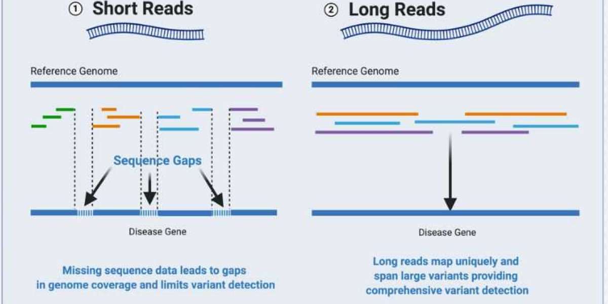 Short Read Sequencing Market: Unlocking the Secrets of Life, One Base Pair at a Time