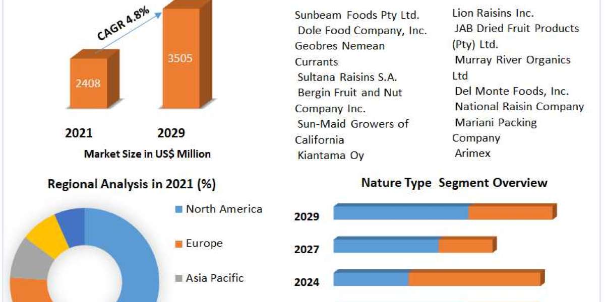 Raisins Market Trends: Unveiling the Growth Trajectory from 2023 to 2029
