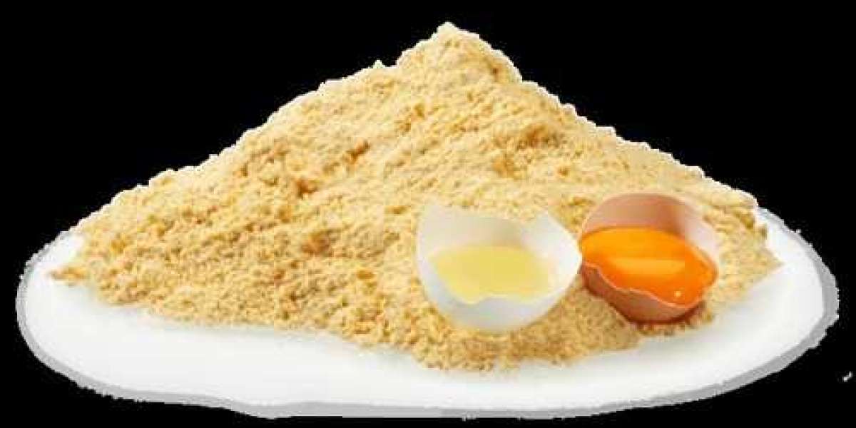 Whole Egg Powder Market Size, Trends, Scope and Growth Analysis to 2033