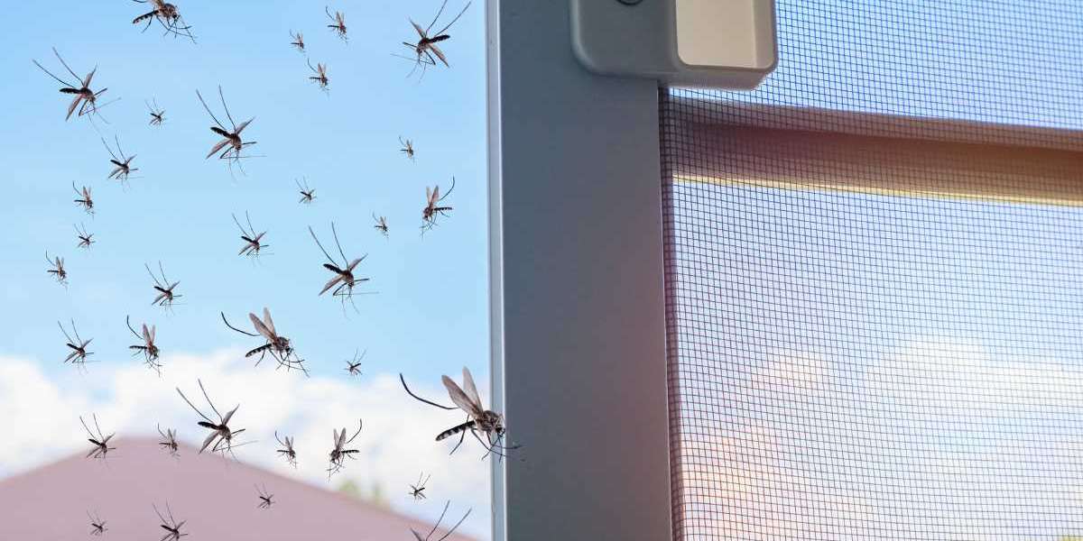 Mosquito Control: The Ultimate Guide to Keeping Your Home and Yard Mosquito-Free