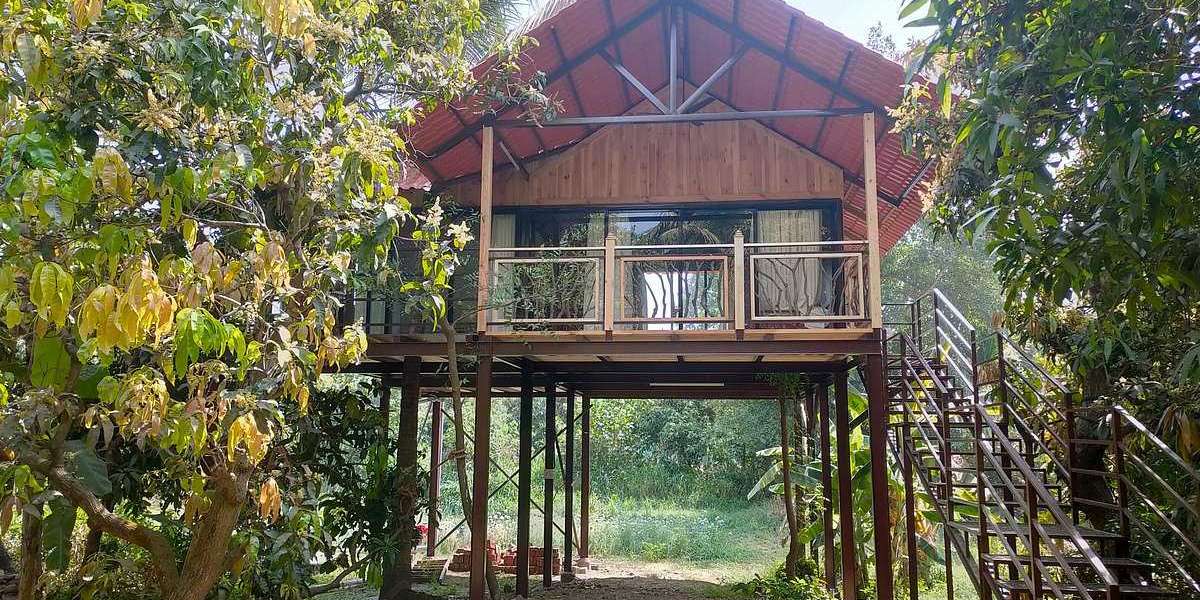 Discover the Thrill: 5 Must-Try Activities at Dandeli-Based Resorts