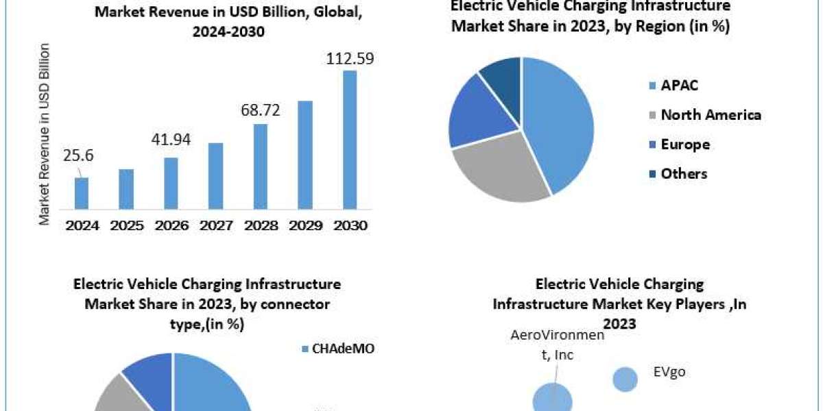 Electric Vehicle Charging Infrastructure Market Size, Growth Trends, Future Plans and Forecast 2030