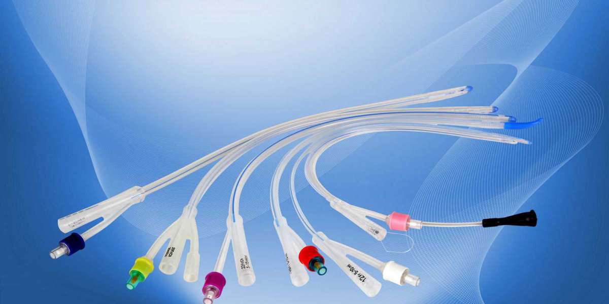 A Global Flow: Regional Analysis of the Foley Catheter Market