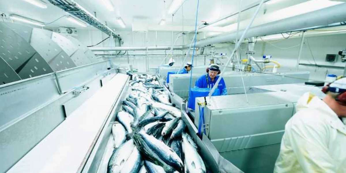 Fish Processing Market Size, Opportunities, Company Profile, Developments and Outlook