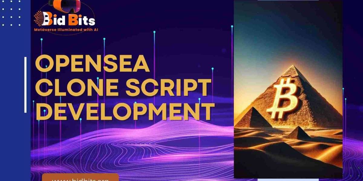 How Have Open Sea Clone Scripts Received Success in the NFT Community So Far?