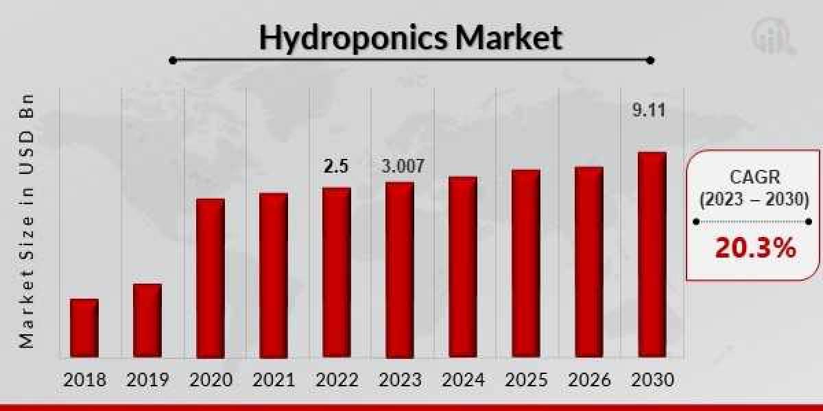 Hydroponics Market Sales Outlook and Size Analysis 2024-2030