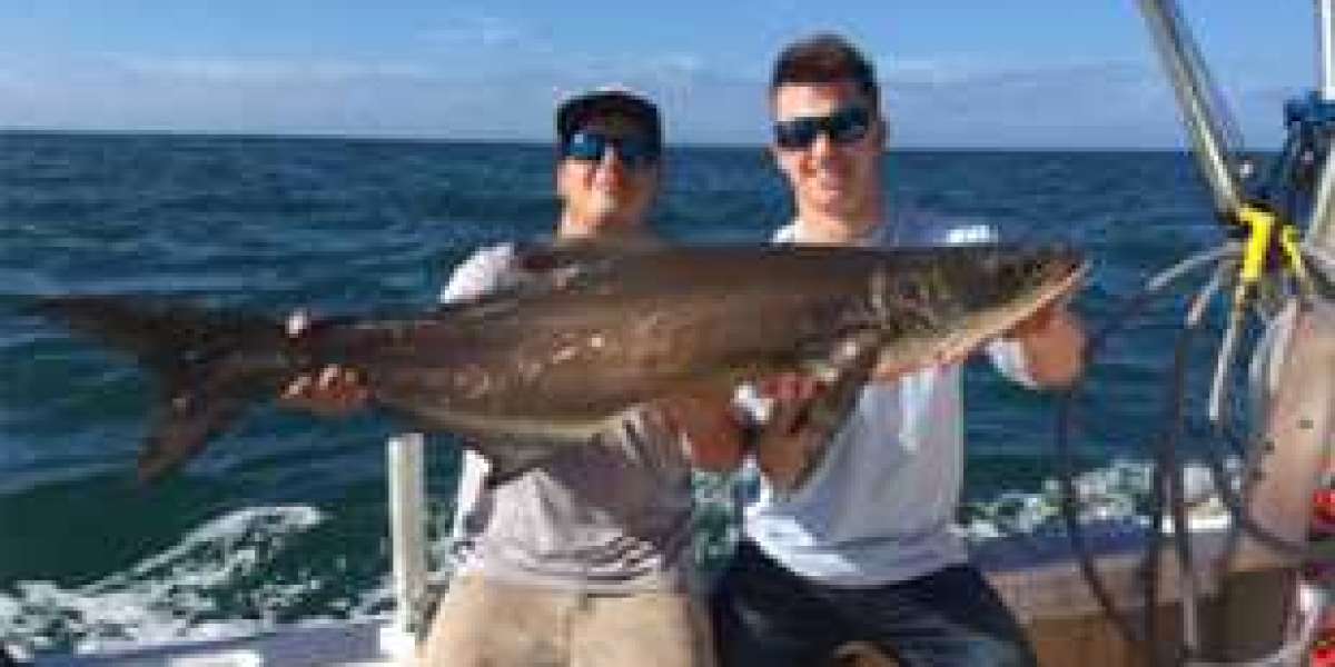 Relax and Reel in the Big Catch on St. Petersburg Fishing Charters