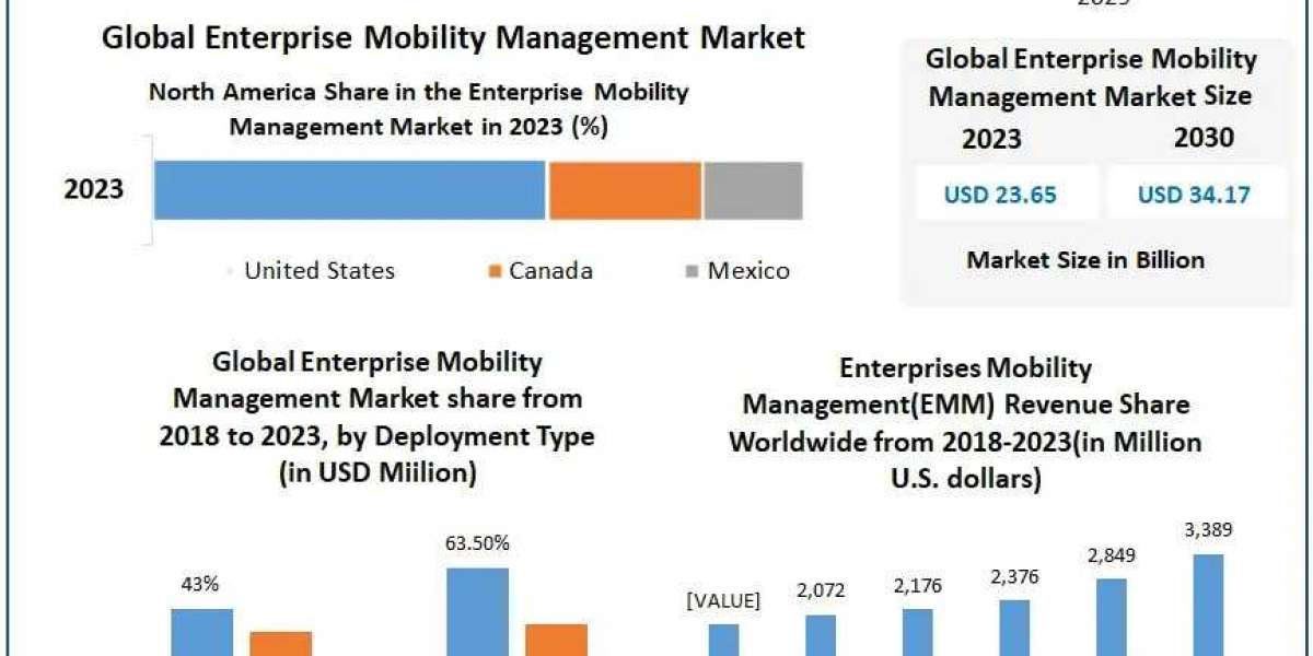Enterprise Mobility Management Market Industry Trends, Leading Players And Business Forecast To 2030