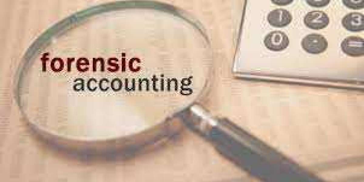 Forensic Accounting Market to see huge growth by 2032.