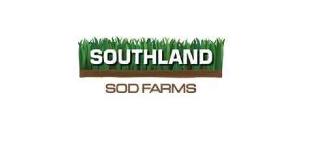 Quality Sod: The Cornerstone of Southland SOD Farms