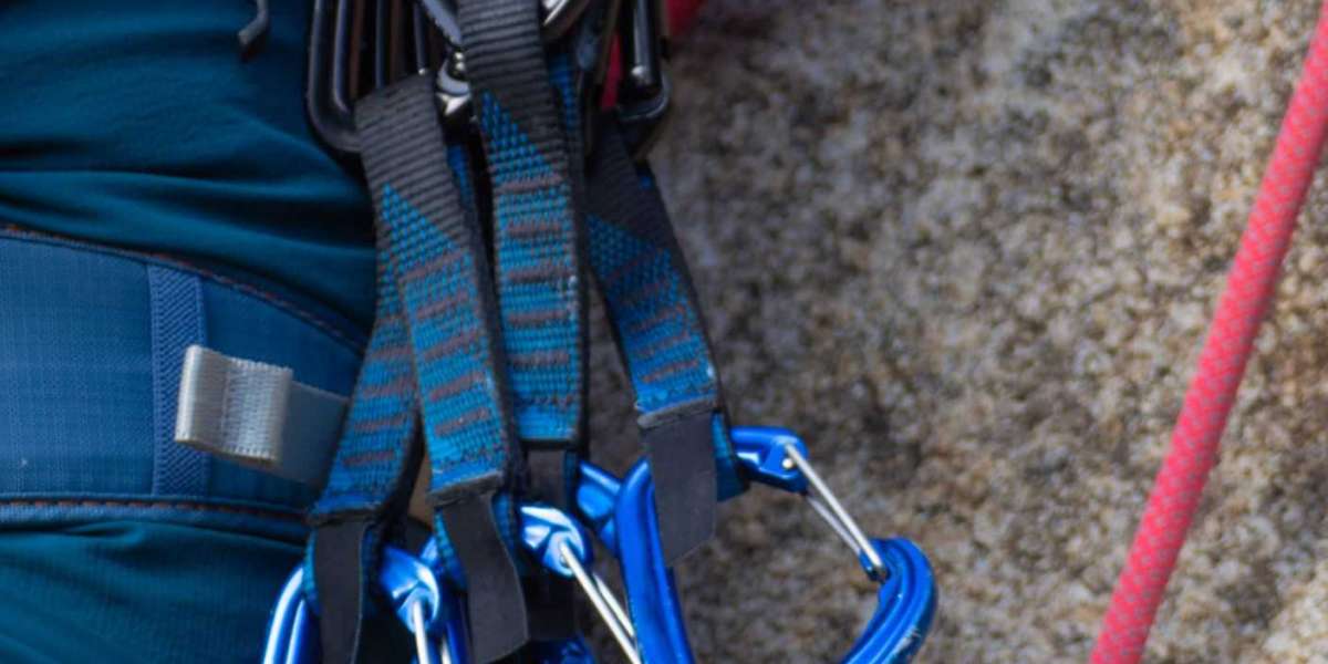 Cam Climbing Device Market Research Insights