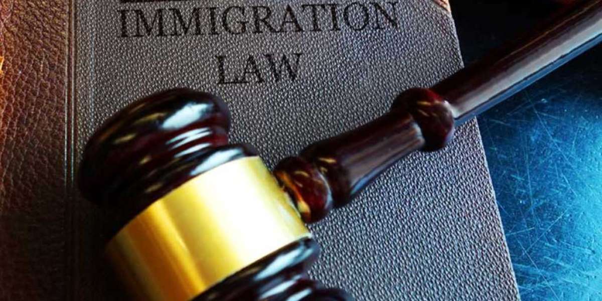 The Role of an Immigration Lawyer in Family Sponsorship Cases in Mississauga