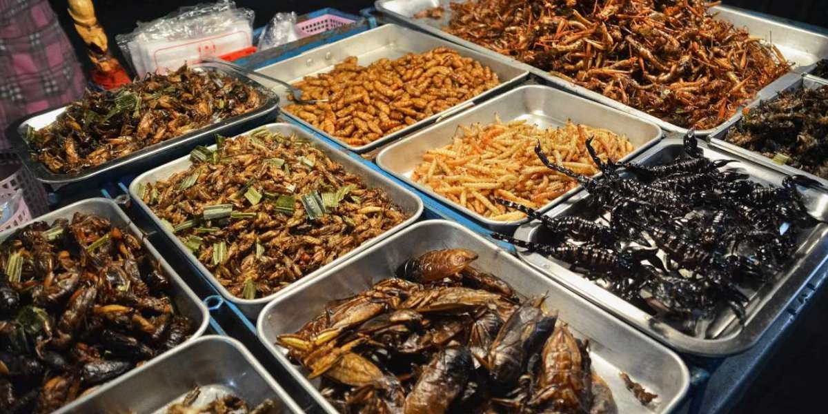 Global Edible Insects Market Size, Share, Growth Drivers, Opportunities, Trends, Competitive Analysis and Forecast to 20