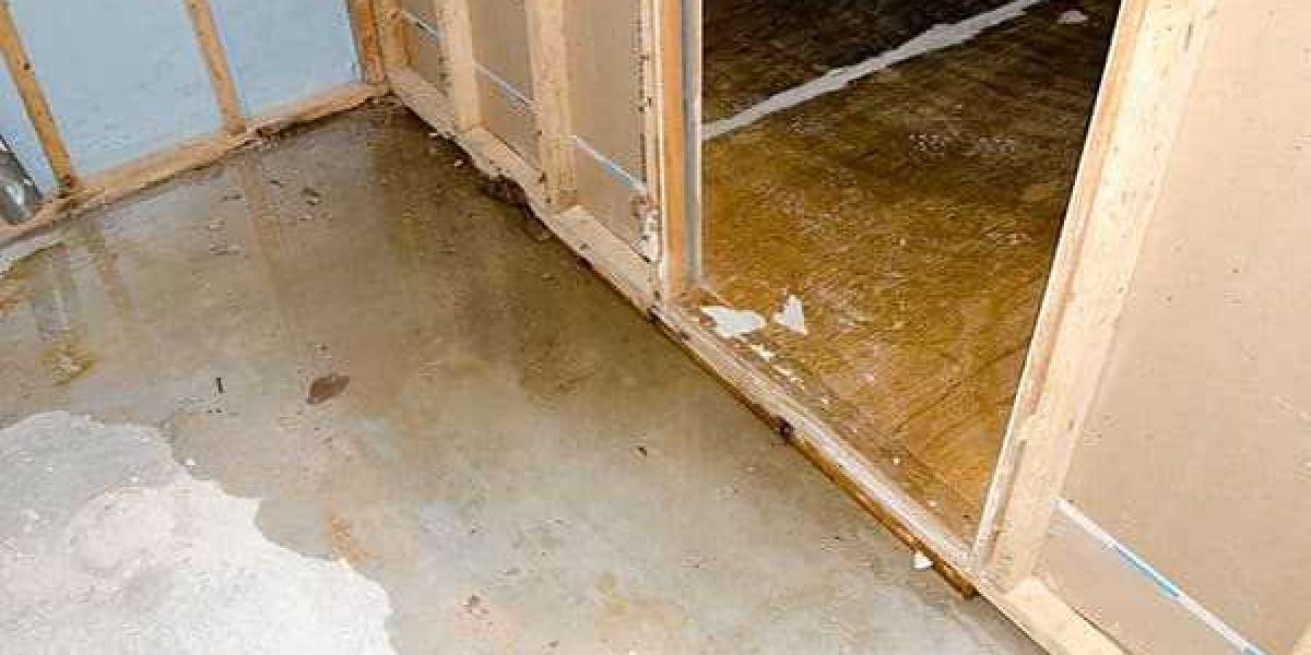 Navigating the Waters: Essential Tips for Basement Waterproofing in Annapolis, MD