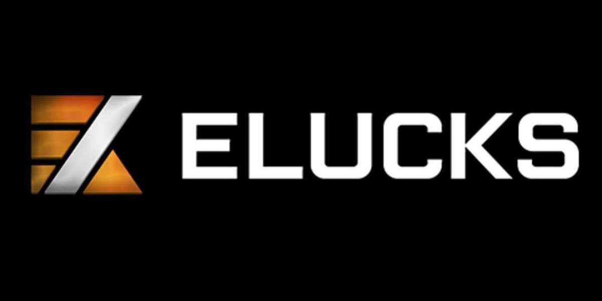 Charting Your Financial Future - The Role of Elucks in the Digital Currency Landscape