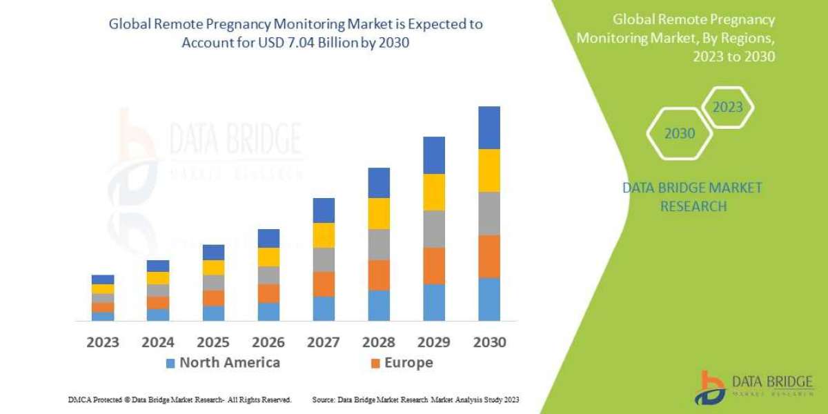 Remote Pregnancy Monitoring  Market Size, Share, Trends, Demand, Growth and Competitive Outlook