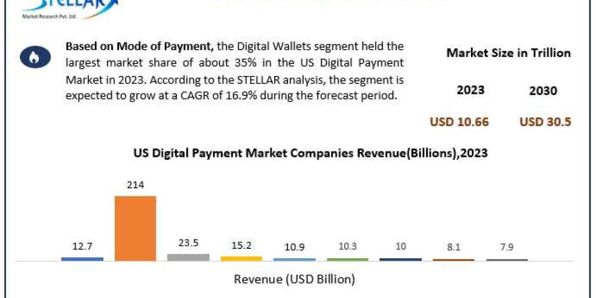 US Digital Payment Market Segmentation, Revenue, Top Players Strategies and Forecast to 2030