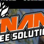 Dynamic Tree Solutions