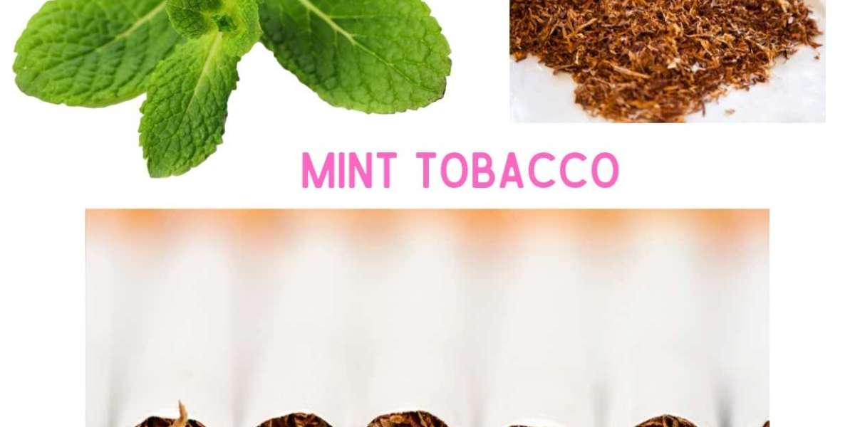 A Refreshing Twist: Exploring the Allure of Mint Tobacco