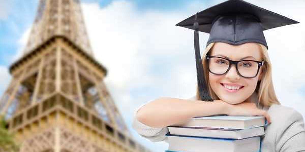 Charting Success: Top MBA Colleges in France