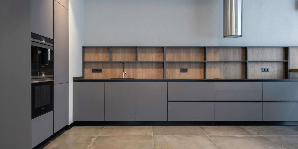 Sleek Sophistication: Modern Gray Kitchen Cabinets by House Customize Cabinets
