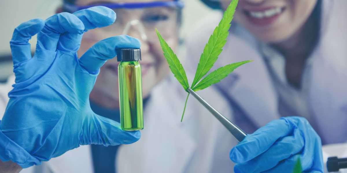 Changing Healthcare Landscape: Cannabis Doctors Lead the Way