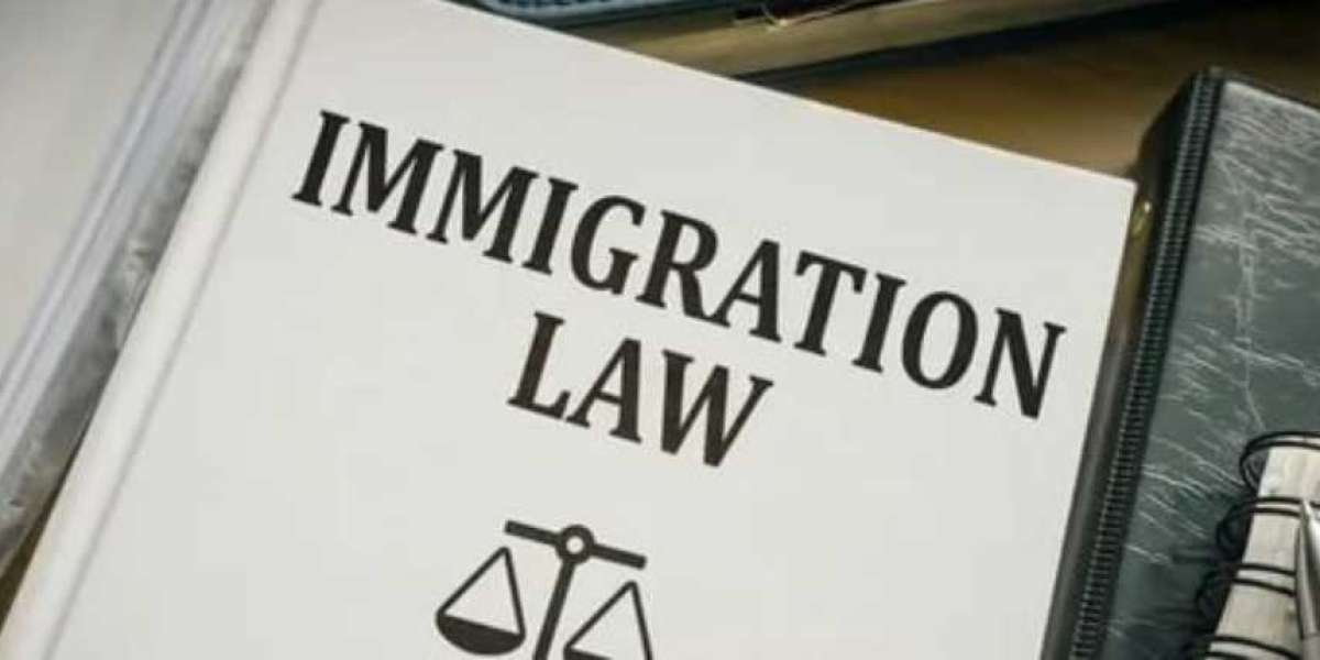 5 Reasons to Choose a Brampton Immigration Lawyer for Your Immigration Needs