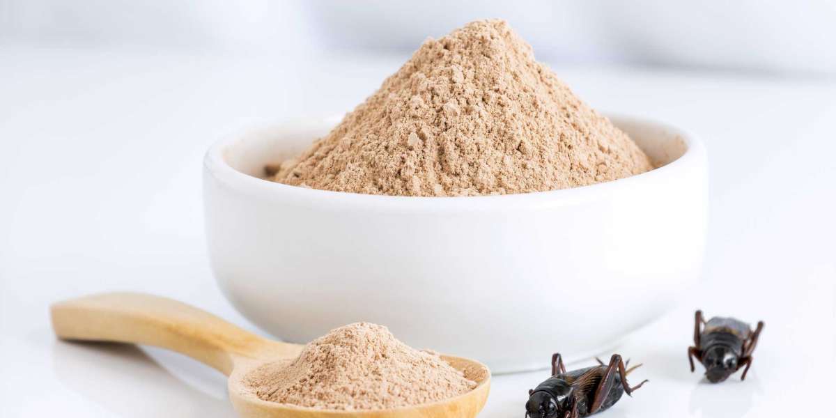 Cricket Protein Powders Market Future Landscape To Witness Significant Growth by 2033