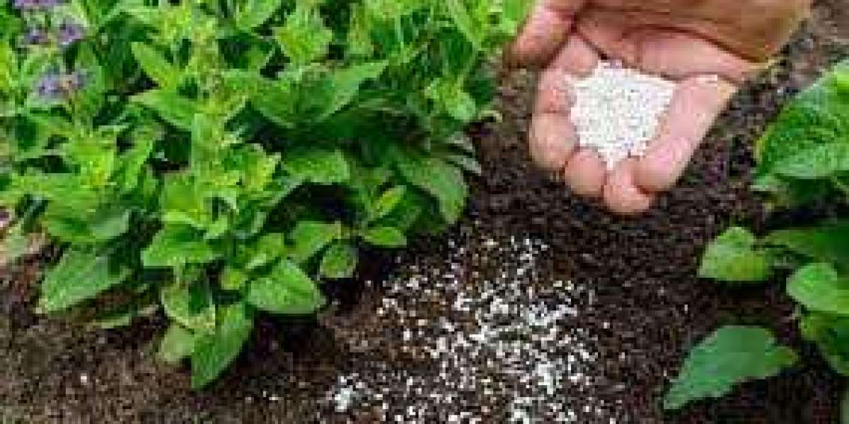 Fertilizer Market Worth $230.29 Billion By 2030