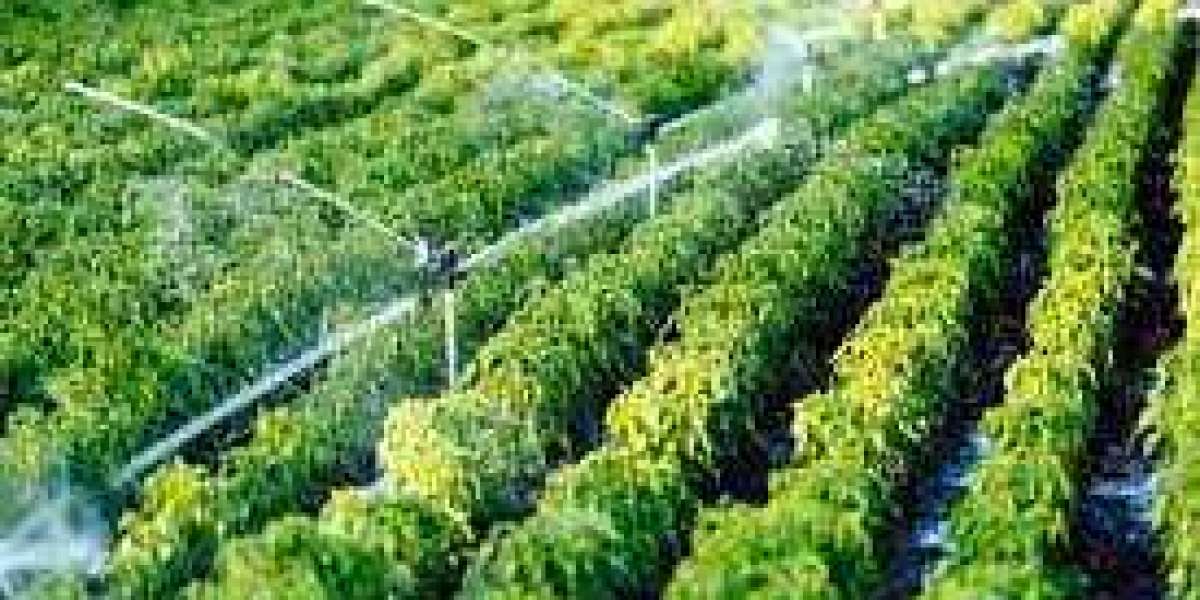 Micro Irrigation Systems Market Worth $20444.05 Million By 2030