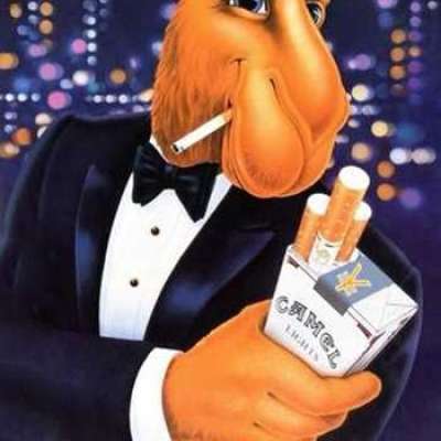 Vintage Camel ad Cigarettes Promotional Poster Profile Picture