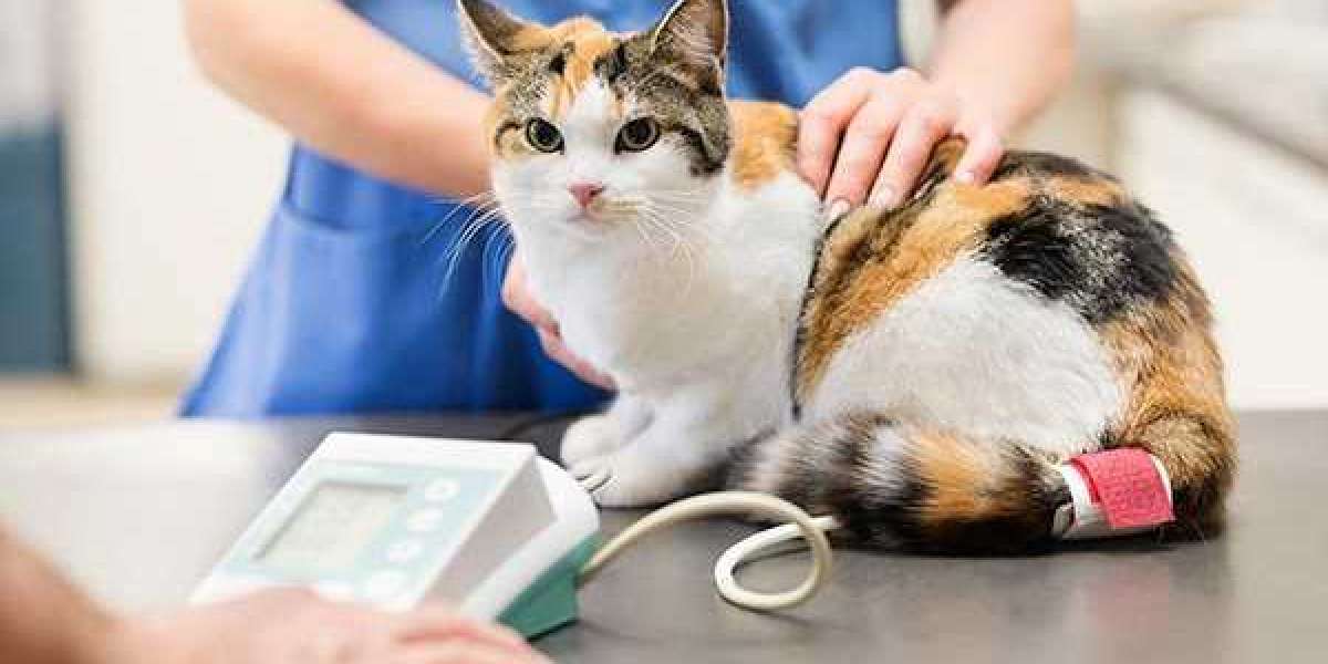 The Booming Veterinary Electrosurgery Industry: Trends and Insights