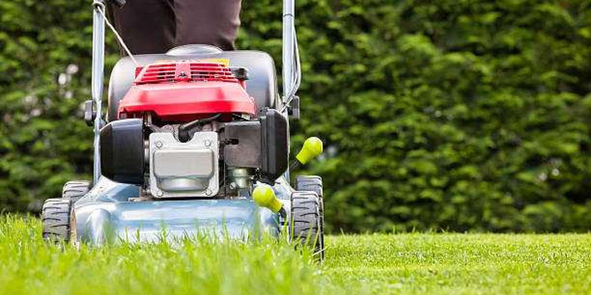 The Ultimate Guide to Florida Lawn Care