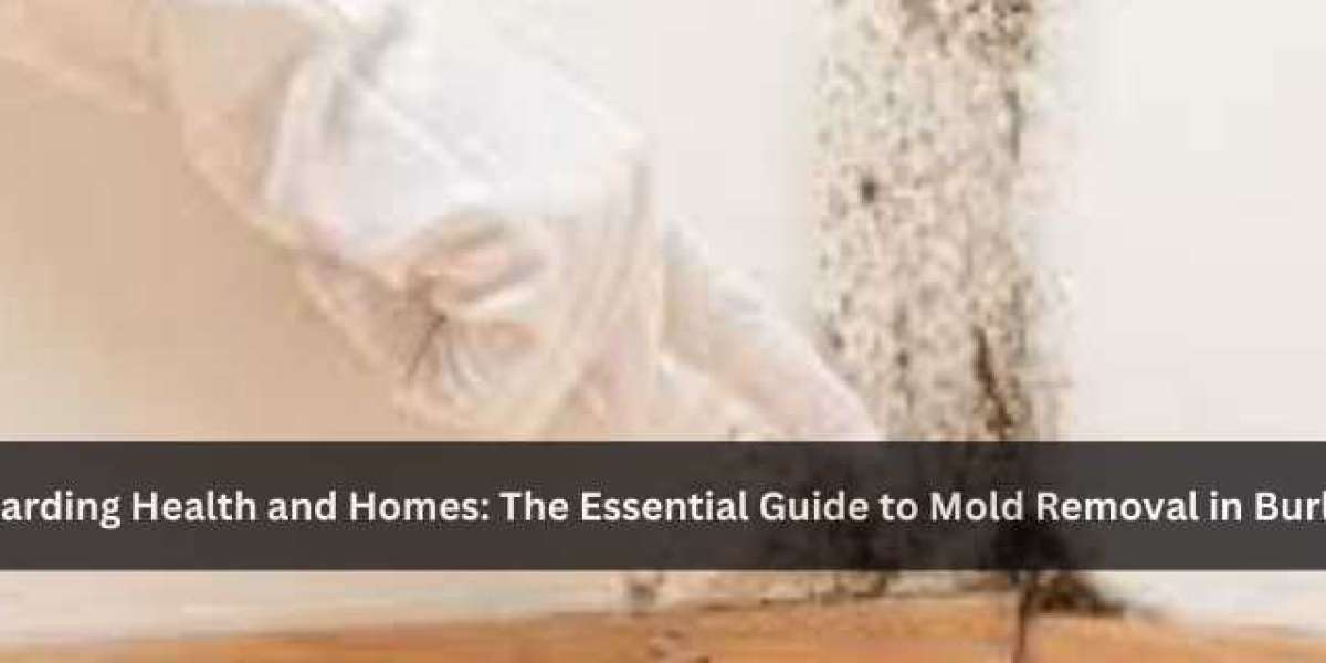 Safeguarding Health and Homes: The Essential Guide to Mold Removal in Burlington