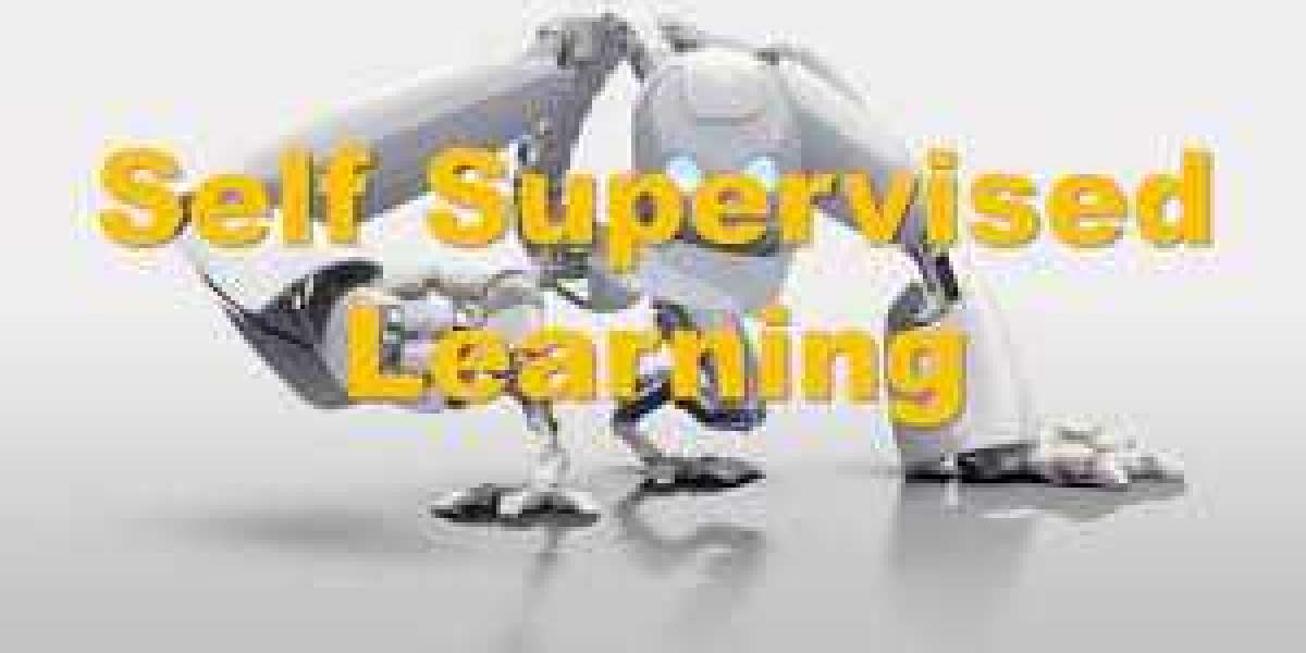 Self-supervised Learning Market Business Strategy, Overview, Competitive Strategies And Forecasts 2032