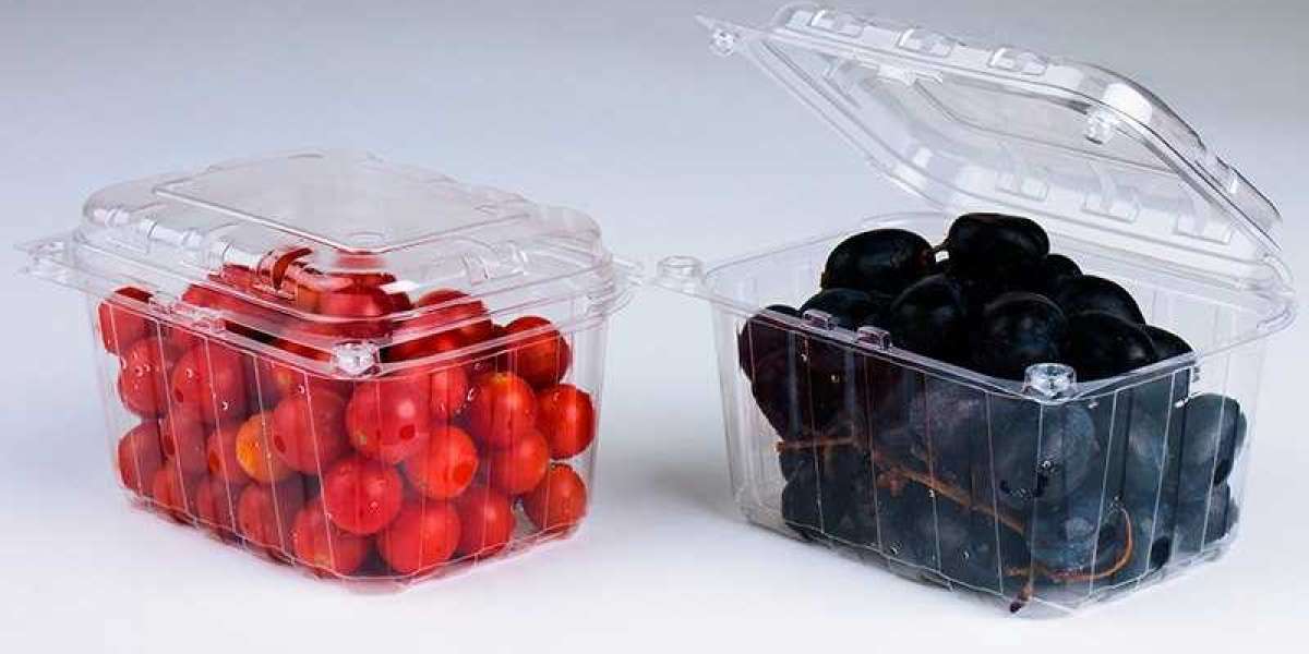 Punnet Packaging Market Segmentation Analysis and Forecast to 2033