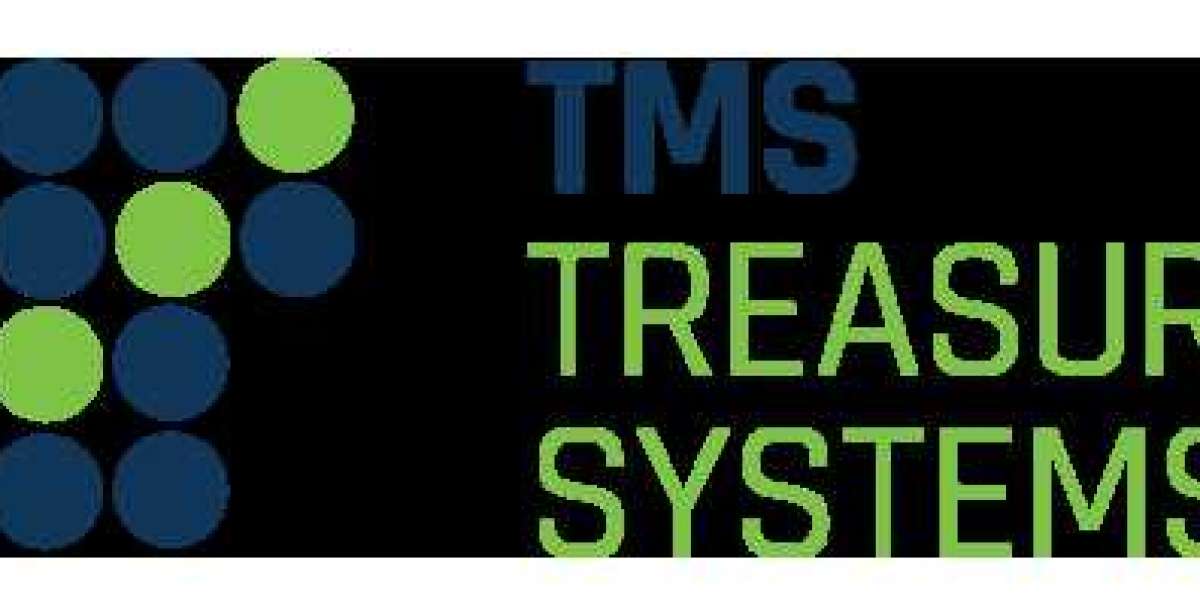 Treasury Management System (TMS) Market Insights on Current Scope 2033