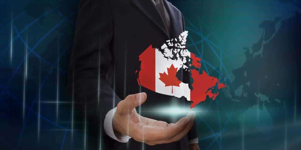 Your Path to Immigration Consulting Canada: Mds Consulting