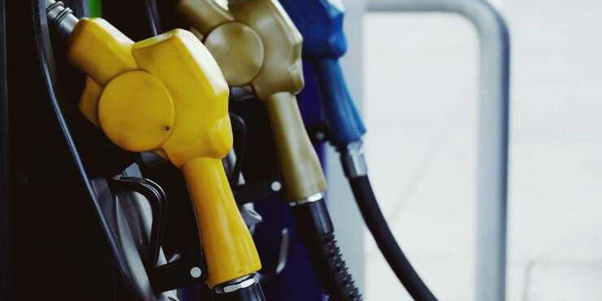 Europe Biodiesel Market Set to Surpass US$ 20.6 Billion by 2032