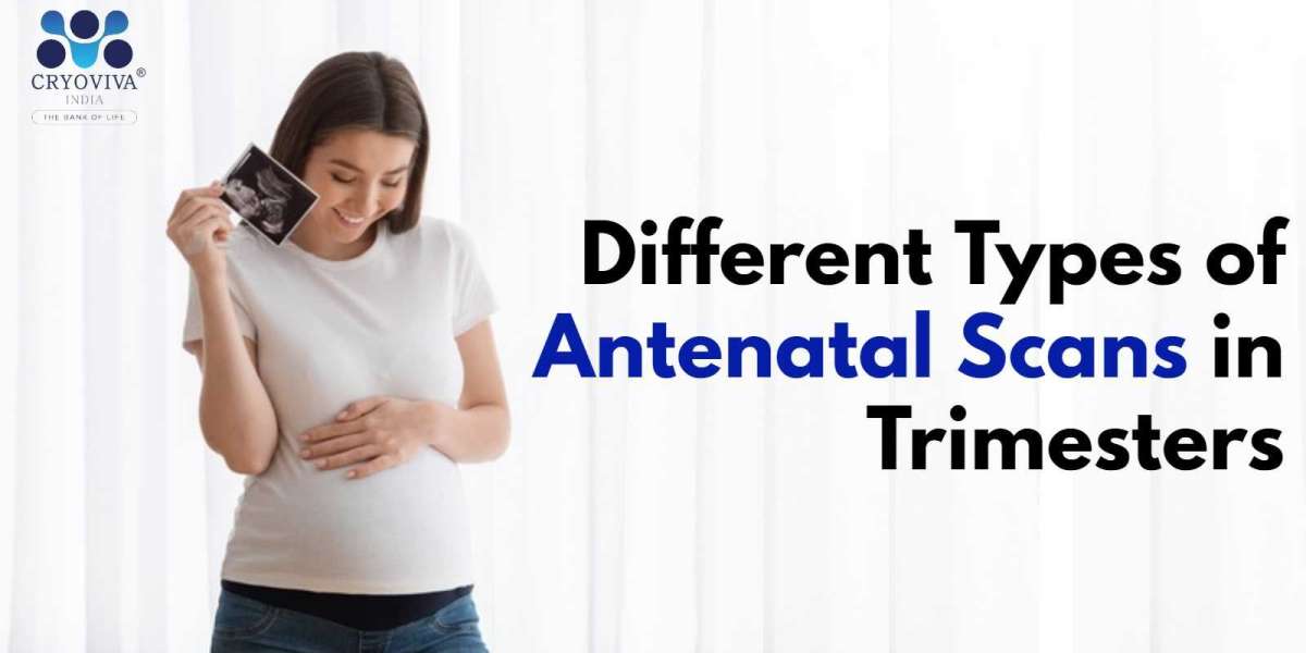 What is an Antenatal Scan?