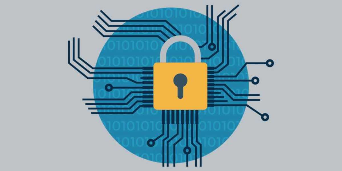 Global Network Encryption Market Size, Share and Forecast Report 2024-2032