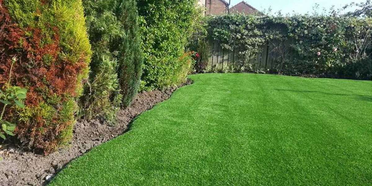 How to Renovate Lawns
