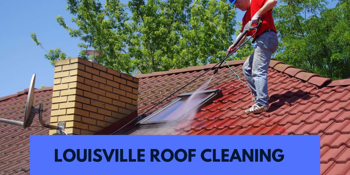 Revitalize Your Home with Professional Louisville Roof Cleaning Services
