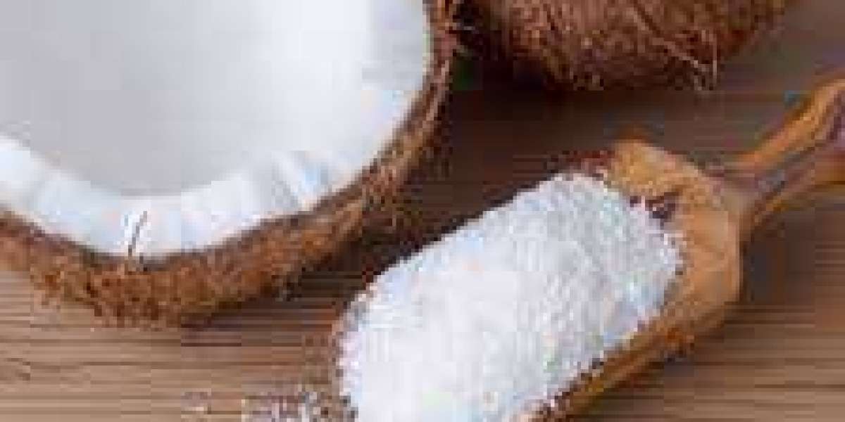 Dry Coconut Powder Market is Expected to Gain Popularity Across the Globe by 2033