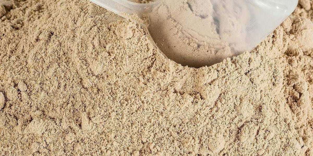 Power Packed: Analyzing the Dynamics of the Beef Protein Powder Market
