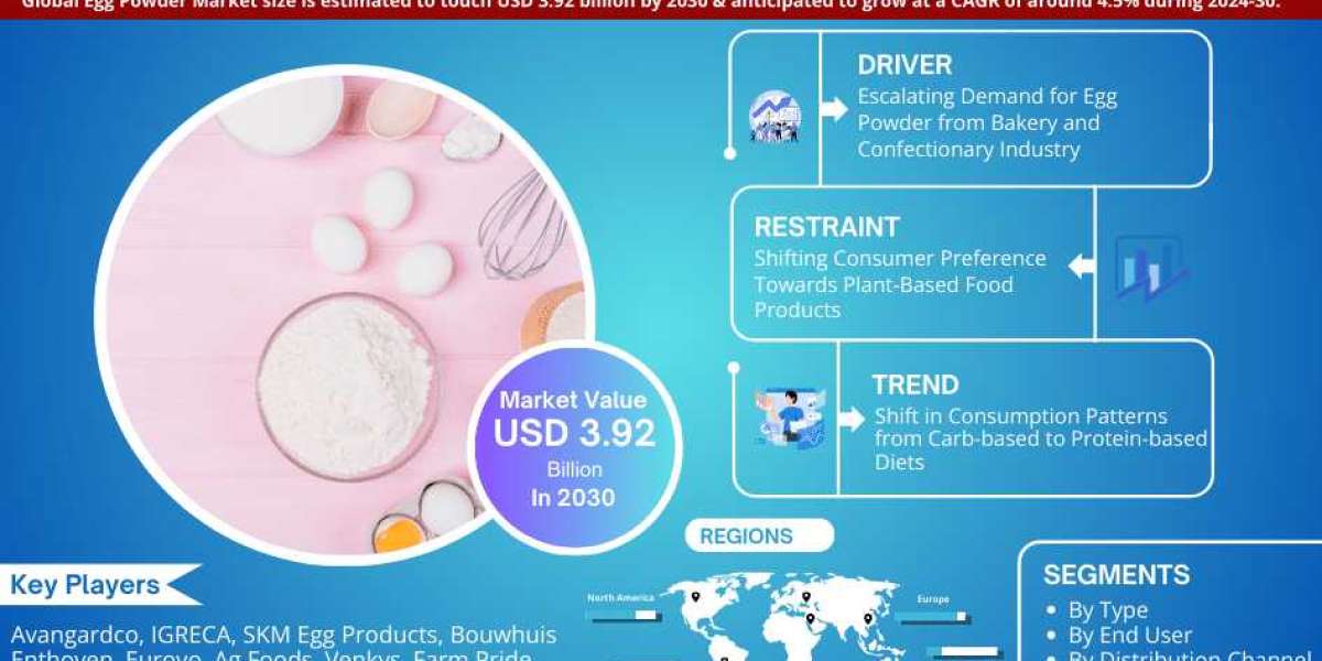 Egg Powder Market Growth Drivers, and Competitive Landscape