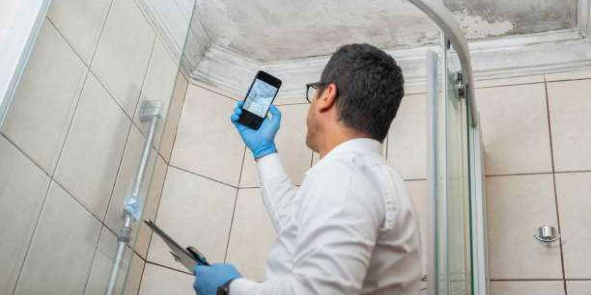 The Importance of Mold Testing and Inspection