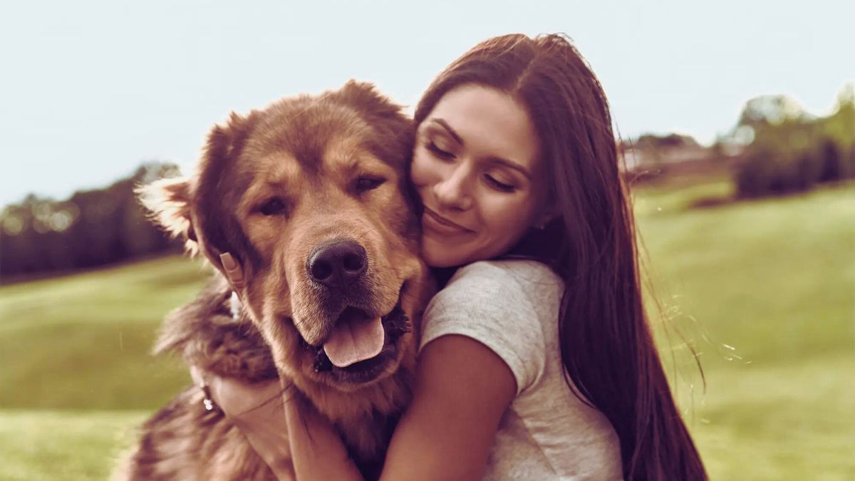 4 Reasons Why Some Women Make Love With Dogs: Is It Ethical Or Legal? | Others | RelationLoveDating